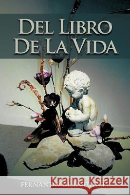 del Libro de La Vida De La Fuente, Fernando 9781468578782