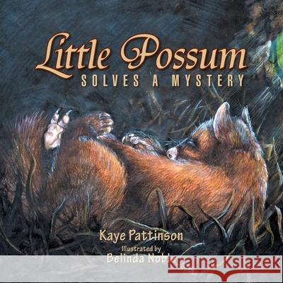 Little Possum Solves a Mystery Kaye Pattinson 9781469132433 Xlibris