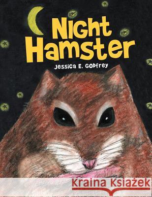 Night Hamster Jessica E. Godfrey 9781469150833