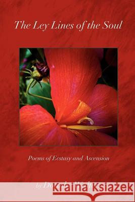 The Ley Lines of the Soul: Poems of Ecstasy and Ascension Walters, Dorothy 9781469153186 Xlibris Corporation