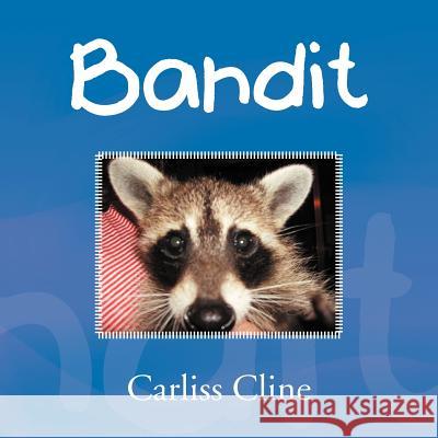 Bandit Carliss Cline 9781469165431 Xlibris Corporation