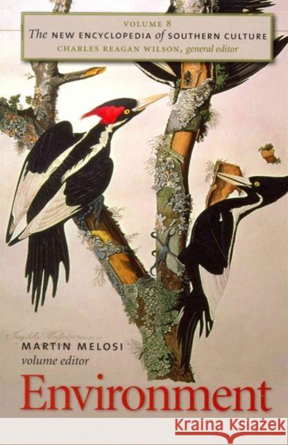 New Encyclopedia of Southern Culture Charles Reagan Wilson 9781469607450