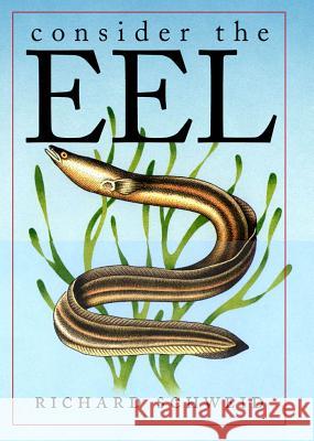 Consider the Eel Richard Schweid 9781469615134 University of North Carolina Press