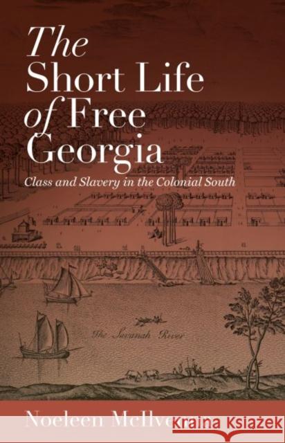 The Short Life of Free Georgia: Class and Slavery in the Colonial South Noeleen McIlvenna 9781469624037