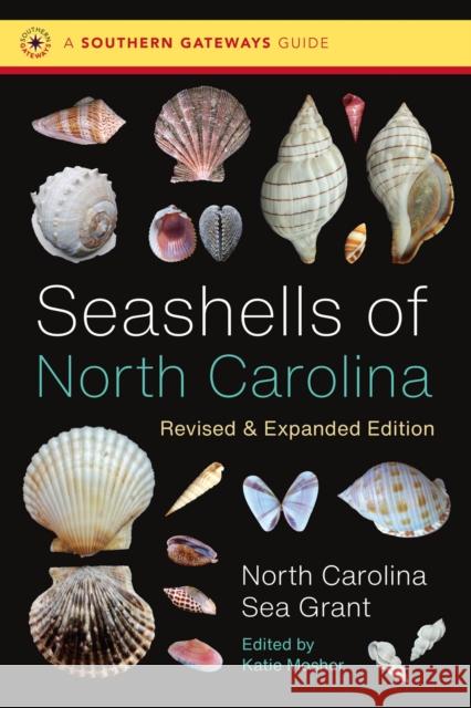 Seashells of North Carolina University of North Carolina Sea Grant College Program 9781469678948 University of North Carolina Press