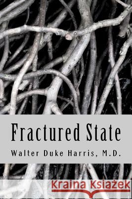 Fractured State Walter Duke Harri 9781469902791