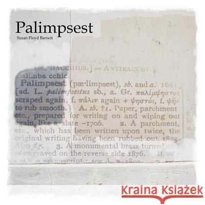 Palimpsest Susan Floyd Barnett 9781469911489 Createspace