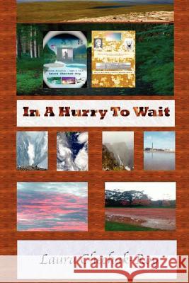 In A Hurry To Wait Roy, Subir 9781469934600 Createspace