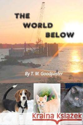 The World Below T. M. Goodpaster 9781469990521 Createspace