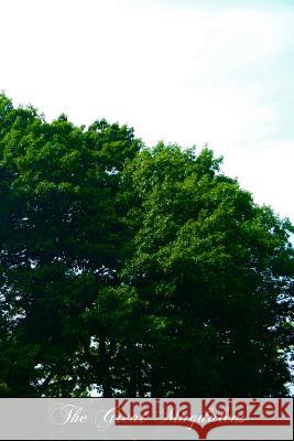 The Great Magdalens Rev Hugh Francis Blun 9781470019082 Createspace