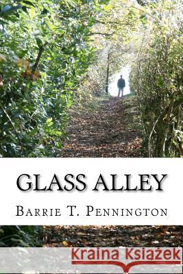 Glass Alley Dr Barrie T. Pennington 9781470029043 Createspace