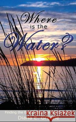 Where is the Water?: Finding the Extraordinary in the Ordinary Greene, Diana E. 9781470130459 Createspace Independent Publishing Platform