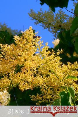 Studies In Church History: Volume 2 Centuries 9 - 14 Parsons D. D., Reuben 9781470192716 Createspace