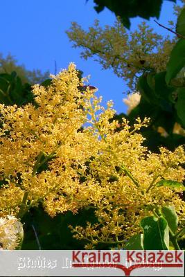 Studies In Church History: Volume 4 Centuries 17 - 18 Parsons D. D., Reuben 9781470192853 Createspace