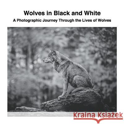 Wolves in Black and White: A Photographic Journey Through the Lives of Wolves David Sechovicz 9781470929701 Lulu.com