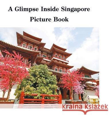 A Glimpse Inside Singapore Picture Book David Sechovicz 9781471013751 Lulu.com