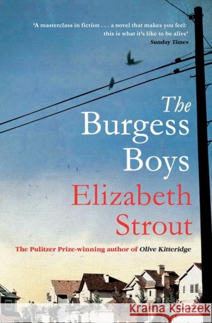 The Burgess Boys Elizabeth Strout 9781471127380
