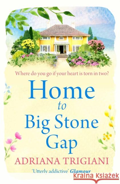 Home to Big Stone Gap Adriana Trigiani 9781471148934