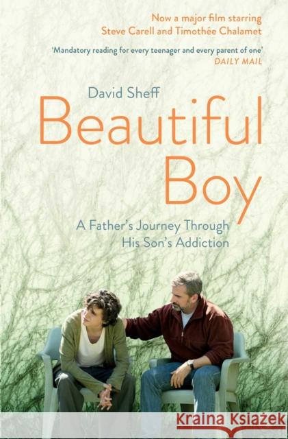 Beautiful Boy: A Father's Journey Through His Son's  Addiction David Sheff   9781471177934