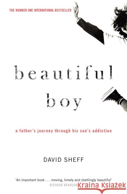 Beautiful Boy: A Father's Journey Through His Son's Addiction David Sheff   9781471182204