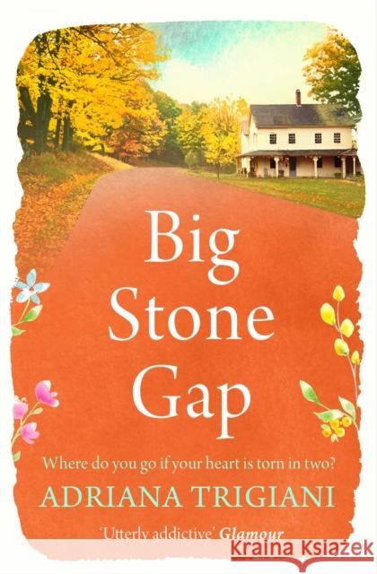 Big Stone Gap Adriana Trigiani 9781471192579 Simon & Schuster Ltd