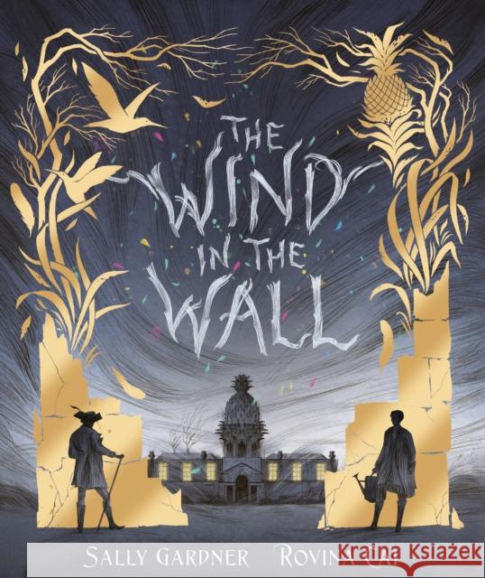 The Wind in the Wall Sally Gardner Rovina Cai  9781471404986