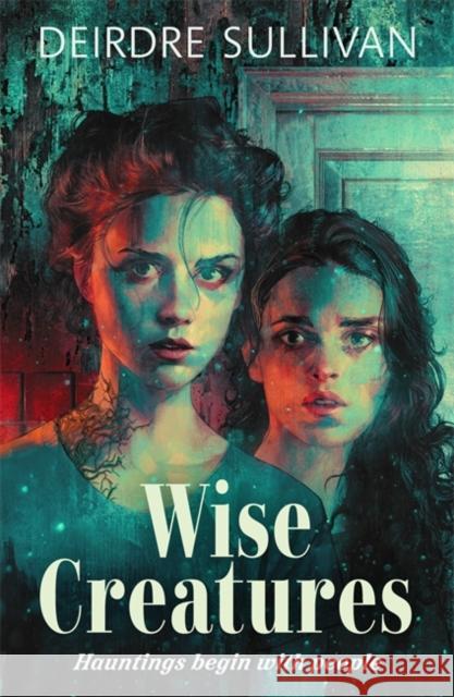 Wise Creatures Deirdre Sullivan 9781471411205