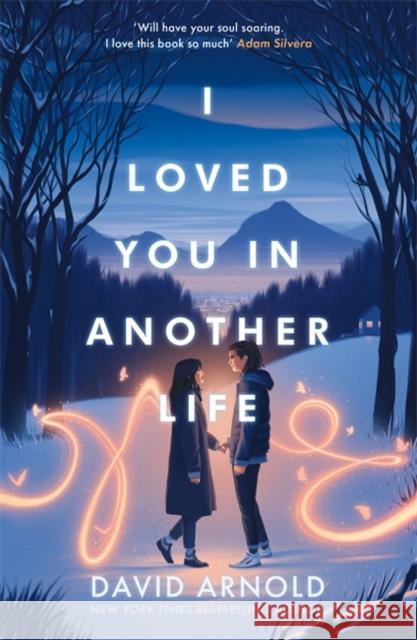 I Loved You In Another Life David Arnold 9781471414329 Hot Key Books