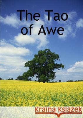 The Tao of Awe Tony Kearney 9781471641121