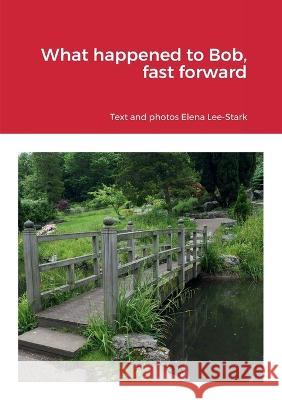 What happened to Bob, fast forward Elena Lee-Stark 9781471676734