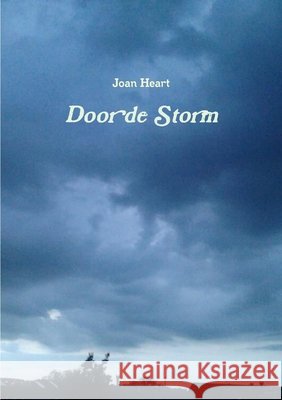 Door de Storm Joan Heart 9781471751561