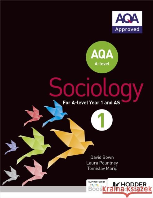 AQA Sociology for A-level Book 1 Tomislav Maric 9781471839399