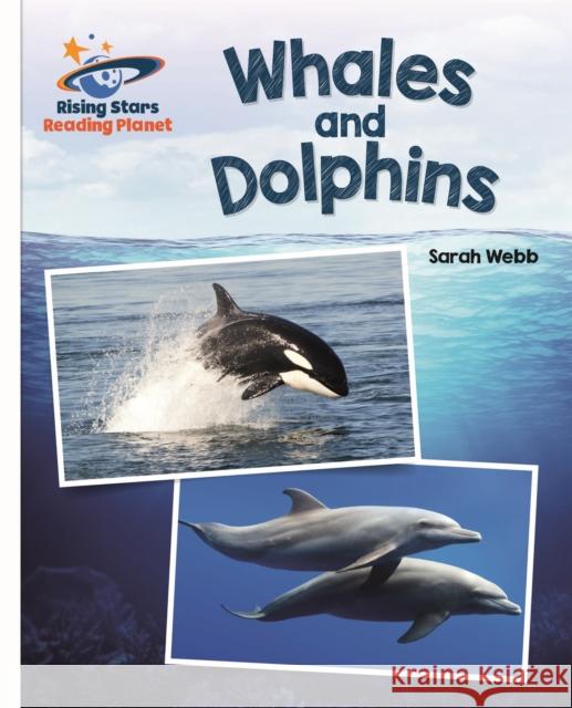 Reading Planet - Whales and Dolphins - White: Galaxy Webb, Sarah 9781471877902