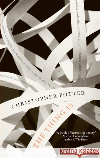 The Thing Is Christopher Potter 9781472134332