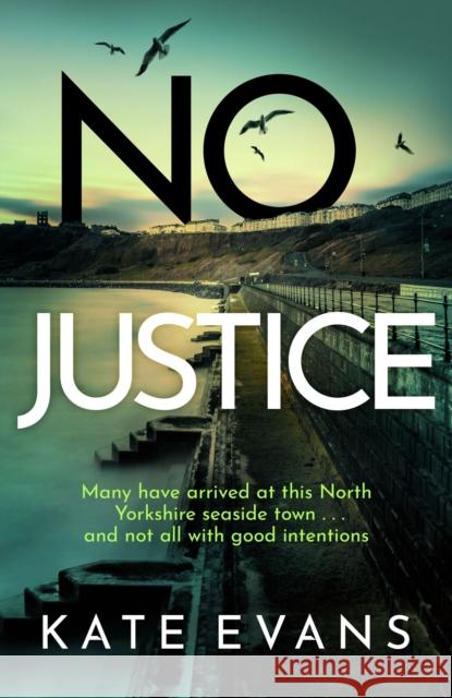 No Justice Kate Evans 9781472134806 Little, Brown Book Group