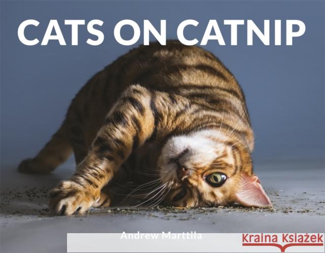 Cats on Catnip  Marttila, Andrew 9781472142672 