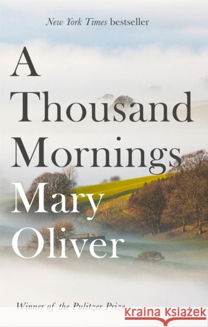 A Thousand Mornings Oliver, Mary 9781472153760