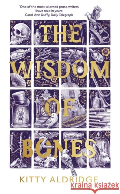 The Wisdom of Bones Kitty Aldridge 9781472154392 Little, Brown Book Group
