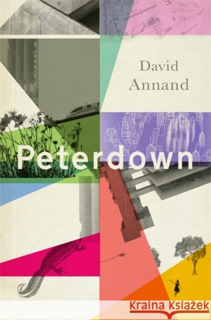 Peterdown: An epic social satire, full of comedy, character and anarchic radicalism David Annand 9781472155856 Little, Brown Book Group