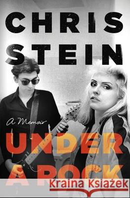 Under A Rock Chris Stein 9781472157638 LITTLE BROWN