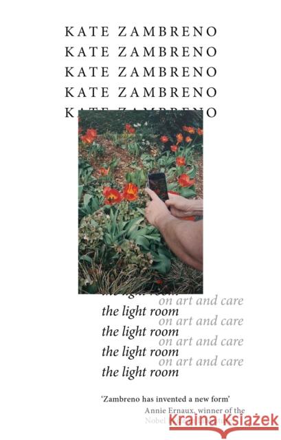 The Light Room Kate Zambreno 9781472158932 Little, Brown Book Group