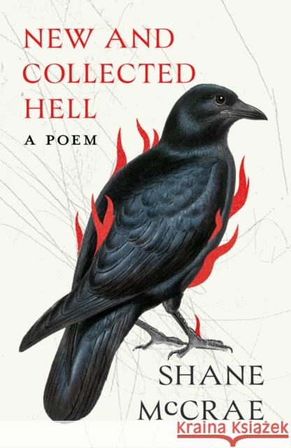 New and Collected Hell: A Poem Shane McCrae 9781472160140