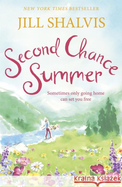 Second Chance Summer: A romantic, feel-good read, perfect for summer Jill (Author) Shalvis 9781472222992 Headline Publishing Group