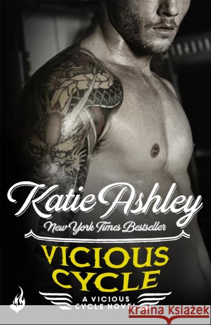 Vicious Cycle: Vicious Cycle 1 Katie Ashley 9781472229144