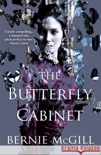 The Butterfly Cabinet Bernie McGill 9781472240217