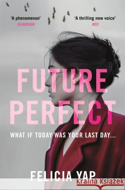 Future Perfect: The Most Exciting High-Concept Novel of the Year Felicia Yap 9781472242266