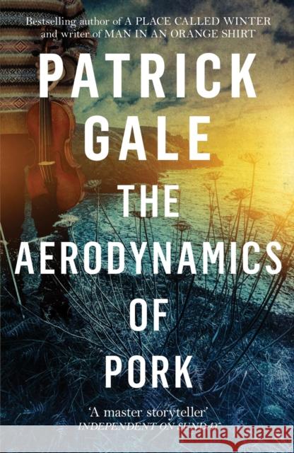 The Aerodynamics of Pork Patrick Gale   9781472255600 Tinder Press