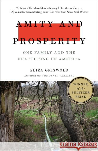 Amity and Prosperity: One Family and the Fracturing of America - Winner of the Pulitzer Prize for Non-Fiction 2019 Eliza Griswold 9781472268723 Headline Publishing Group