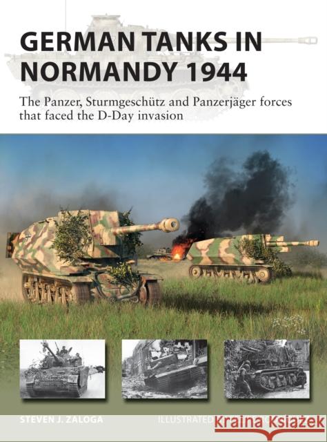 German Tanks in Normandy 1944: The Panzer, Sturmgeschutz and Panzerjager forces that faced the D-Day invasion Steven J. (Author) Zaloga 9781472843203 Bloomsbury Publishing PLC