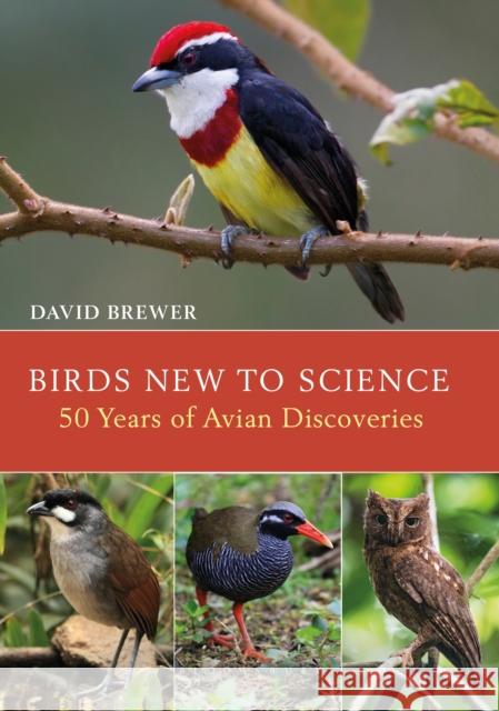 Birds New to Science: Fifty Years of Avian Discoveries David Brewer 9781472906281 Bloomsbury Publishing PLC